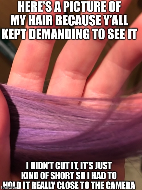 HERE’S A PICTURE OF MY HAIR BECAUSE Y’ALL KEPT DEMANDING TO SEE IT; I DIDN’T CUT IT, IT’S JUST KIND OF SHORT SO I HAD TO HOLD IT REALLY CLOSE TO THE CAMERA | made w/ Imgflip meme maker