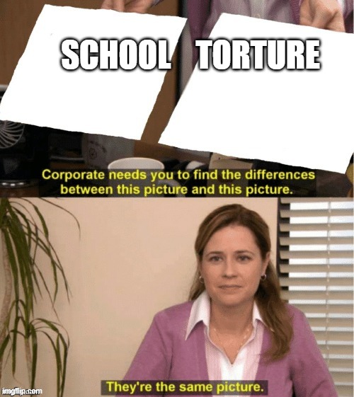 realy | SCHOOL    TORTURE | image tagged in they re the same thing | made w/ Imgflip meme maker
