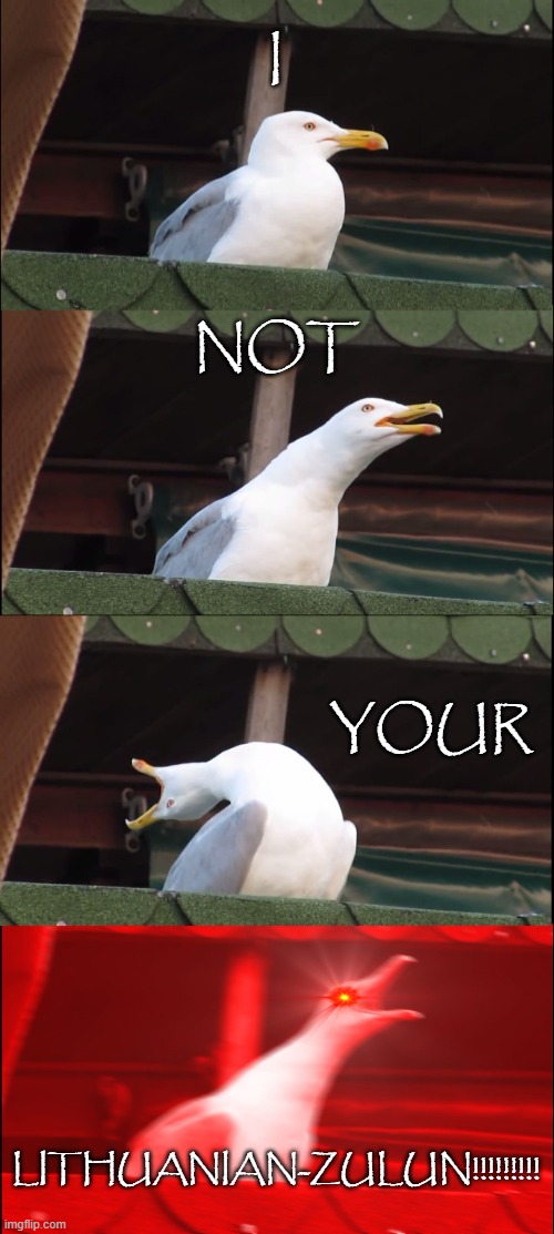 I NOT YOUR LITHUANIAN-ZULUN | I; NOT; YOUR; LITHUANIAN-ZULUN!!!!!!!!! | image tagged in memes,inhaling seagull | made w/ Imgflip meme maker