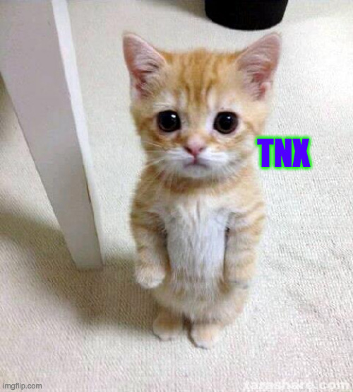 Cute Cat Meme | TNX | image tagged in memes,cute cat | made w/ Imgflip meme maker