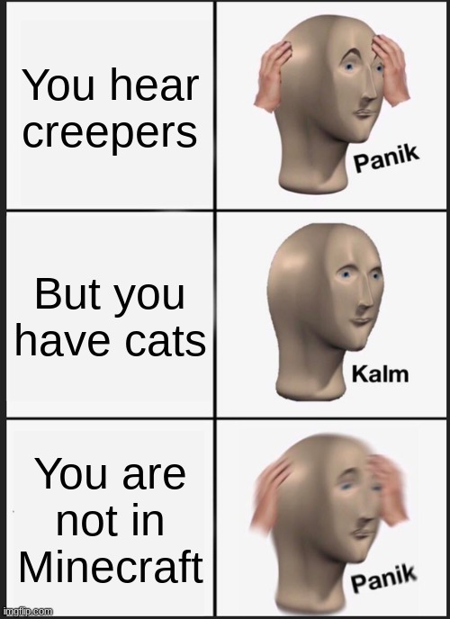 Creepers, cats and real life | You hear creepers; But you have cats; You are not in Minecraft | image tagged in memes,panik kalm panik | made w/ Imgflip meme maker