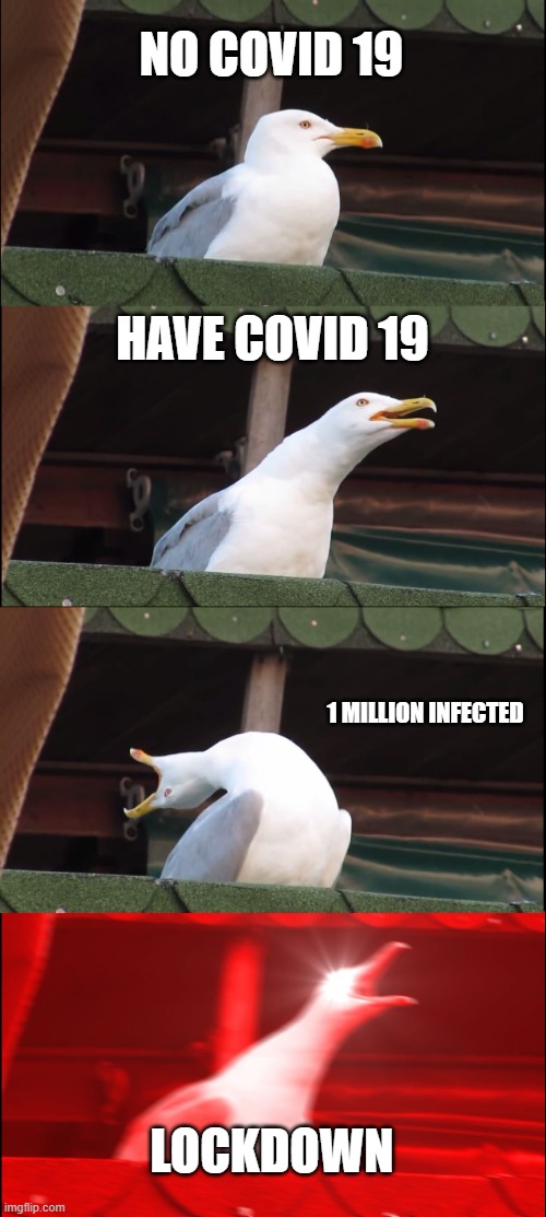 Inhaling Seagull Meme | NO COVID 19; HAVE COVID 19; 1 MILLION INFECTED; LOCKDOWN | image tagged in memes,inhaling seagull | made w/ Imgflip meme maker