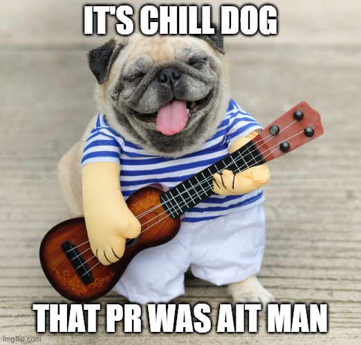 Chill dog is back | IT'S CHILL DOG; THAT PR WAS AIT MAN | image tagged in memes,chilldog,pr | made w/ Imgflip meme maker