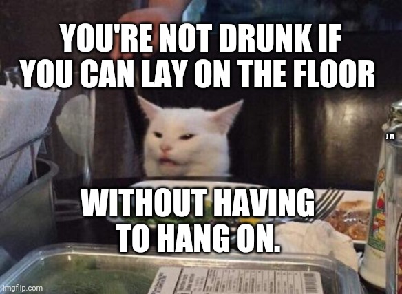 Salad cat | YOU'RE NOT DRUNK IF YOU CAN LAY ON THE FLOOR; J M; WITHOUT HAVING TO HANG ON. | image tagged in salad cat | made w/ Imgflip meme maker