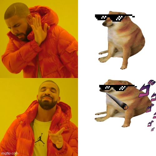 what dogos need to look like!! | image tagged in memes,drake hotline bling | made w/ Imgflip meme maker
