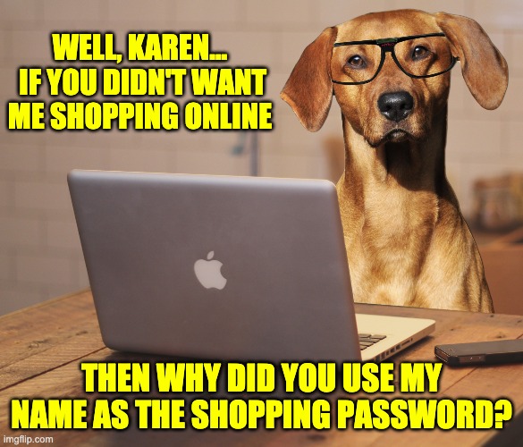 Shopping | WELL, KAREN...  IF YOU DIDN'T WANT ME SHOPPING ONLINE; THEN WHY DID YOU USE MY NAME AS THE SHOPPING PASSWORD? | image tagged in shopping | made w/ Imgflip meme maker