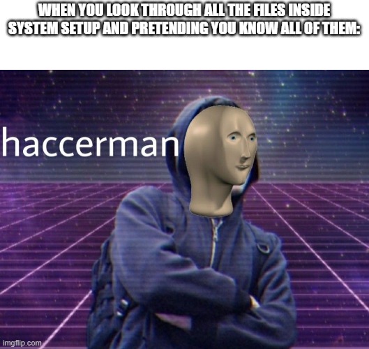 System32 Haccerman | WHEN YOU LOOK THROUGH ALL THE FILES INSIDE SYSTEM SETUP AND PRETENDING YOU KNOW ALL OF THEM: | image tagged in hackerman,stonks,system32 | made w/ Imgflip meme maker