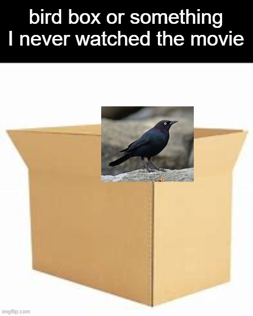 bird box or something
I never watched the movie | made w/ Imgflip meme maker
