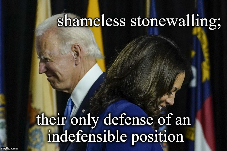 shameless stonewalling their only defense | image tagged in joe biden,kamala harris | made w/ Imgflip meme maker
