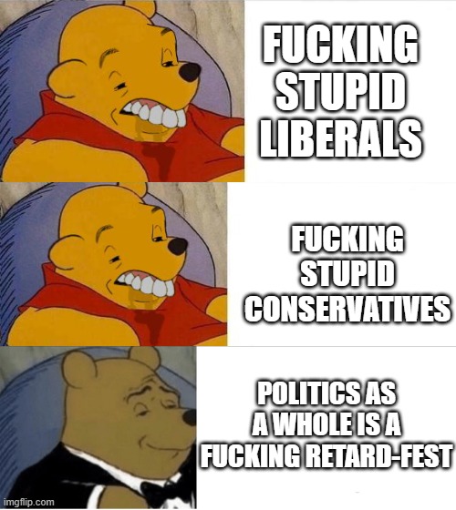 FUCKING STUPID LIBERALS FUCKING STUPID CONSERVATIVES POLITICS AS A WHOLE IS A FUCKING RETARD-FEST | image tagged in tuxedo winnie the pooh grossed reverse,memes,tuxedo winnie the pooh | made w/ Imgflip meme maker