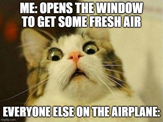 Fresh Air | ME: OPENS THE WINDOW TO GET SOME FRESH AIR; EVERYONE ELSE ON THE AIRPLANE: | image tagged in memes,scared cat | made w/ Imgflip meme maker