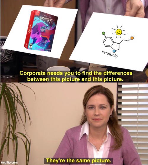 What brings you serotonin? | image tagged in memes,they're the same picture,videogames,nintendo switch,gaming | made w/ Imgflip meme maker