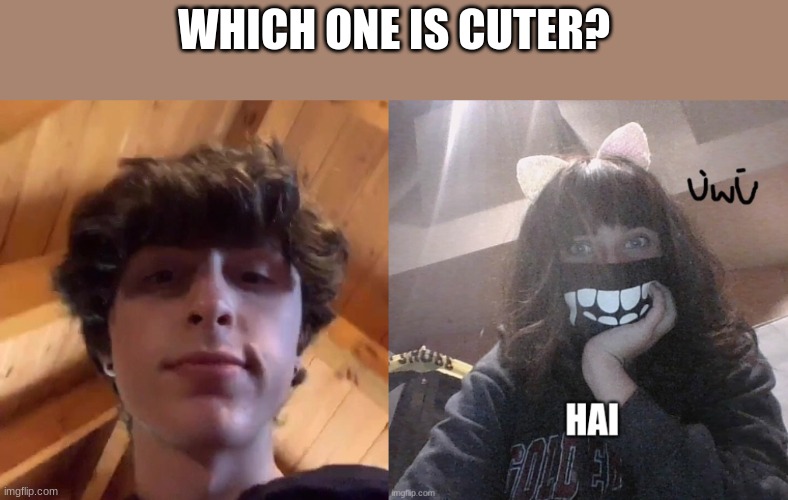answer is obvious | WHICH ONE IS CUTER? | made w/ Imgflip meme maker