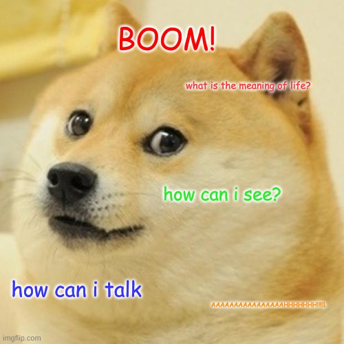 Doge | BOOM! what is the meaning of life? how can i see? how can i talk; AAAAAAAAAAAAAAAAHHHHHHH!!!!1 | image tagged in memes,doge | made w/ Imgflip meme maker