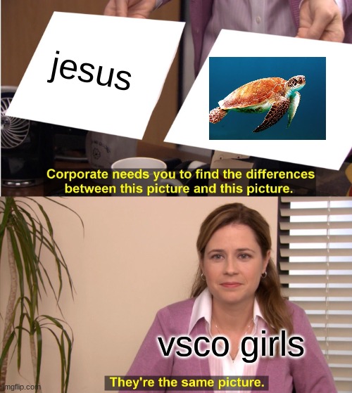 They're The Same Picture | jesus; vsco girls | image tagged in memes,they're the same picture | made w/ Imgflip meme maker