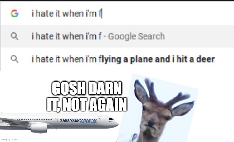 NOT AGAIN!!! | GOSH DARN IT, NOT AGAIN | image tagged in not again,i hate it when,deer,plane | made w/ Imgflip meme maker