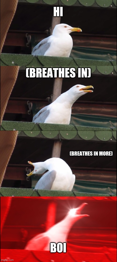 Inhaling Seagull | HI; (BREATHES IN); (BREATHES IN MORE); BOI | image tagged in memes,inhaling seagull | made w/ Imgflip meme maker