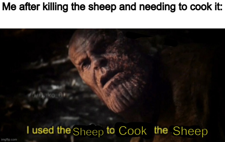 And then you realize that the wool isn't enough to cook it | Me after killing the sheep and needing to cook it:; Cook; Sheep; Sheep | image tagged in i used the stones to destroy the stones | made w/ Imgflip meme maker