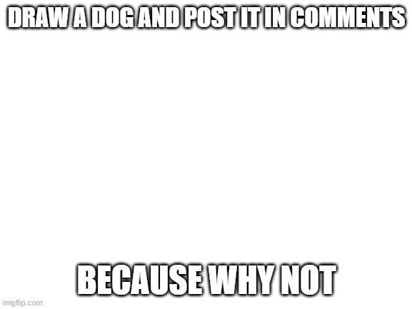 Blank White Template | DRAW A DOG AND POST IT IN COMMENTS; BECAUSE WHY NOT | image tagged in blank white template | made w/ Imgflip meme maker