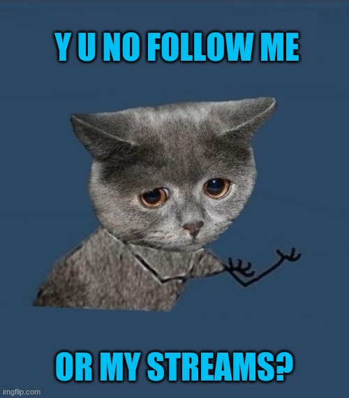 I'm not begging. Just wanna get to 10k | Y U NO FOLLOW ME; OR MY STREAMS? | image tagged in y u no sad cat | made w/ Imgflip meme maker