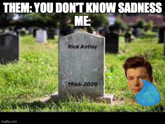 RICK ASTLEY NOOOOOO | THEM: YOU DON'T KNOW SADNESS
ME: | image tagged in rick astley | made w/ Imgflip meme maker