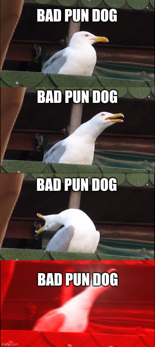 Inhaling Seagull Meme | BAD PUN DOG; BAD PUN DOG; BAD PUN DOG; BAD PUN DOG | image tagged in memes,inhaling seagull | made w/ Imgflip meme maker