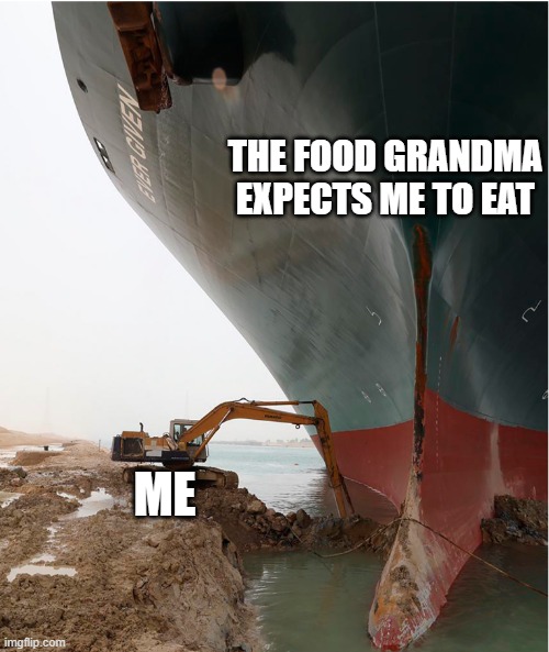 suez-canal | THE FOOD GRANDMA EXPECTS ME TO EAT; ME | image tagged in suez-canal | made w/ Imgflip meme maker