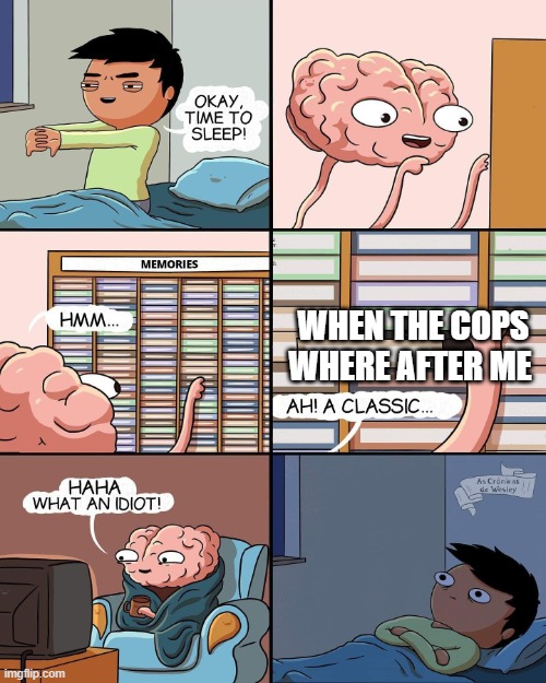 brain memories | WHEN THE COPS WHERE AFTER ME | image tagged in brain memories | made w/ Imgflip meme maker