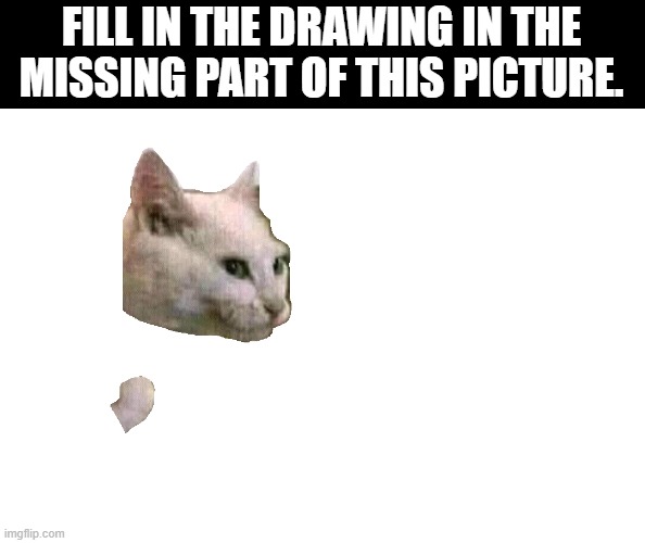 CHALLENGE!!!! Fill in the drawing in the missing part of this picture. | FILL IN THE DRAWING IN THE MISSING PART OF THIS PICTURE. | image tagged in drawing | made w/ Imgflip meme maker