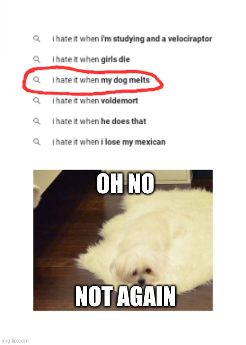 ngl the dog is pretty cute | OH NO; NOT AGAIN | image tagged in not again,dog,google search,i hate it when | made w/ Imgflip meme maker