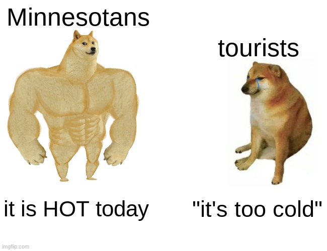 Buff Doge vs. Cheems Meme | Minnesotans; tourists; it is HOT today; "it's too cold" | image tagged in memes,buff doge vs cheems | made w/ Imgflip meme maker