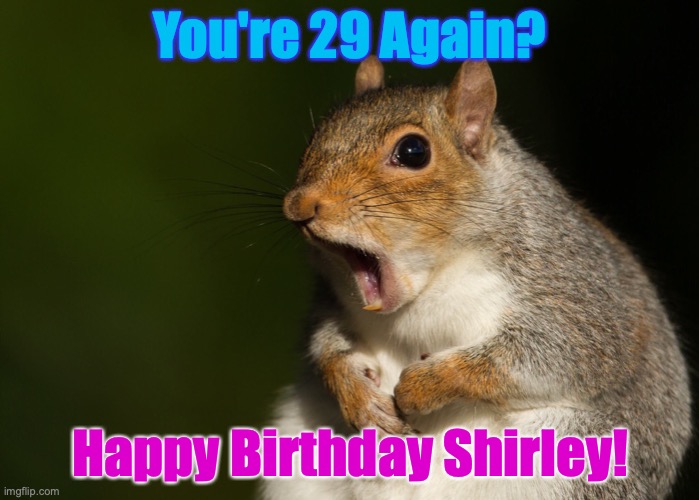29 again? | You're 29 Again? Happy Birthday Shirley! | image tagged in omg squirrel | made w/ Imgflip meme maker