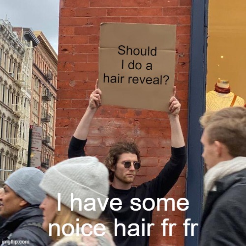Hair Reveal Question | Should I do a hair reveal? I have some noice hair fr fr | image tagged in memes,guy holding cardboard sign | made w/ Imgflip meme maker