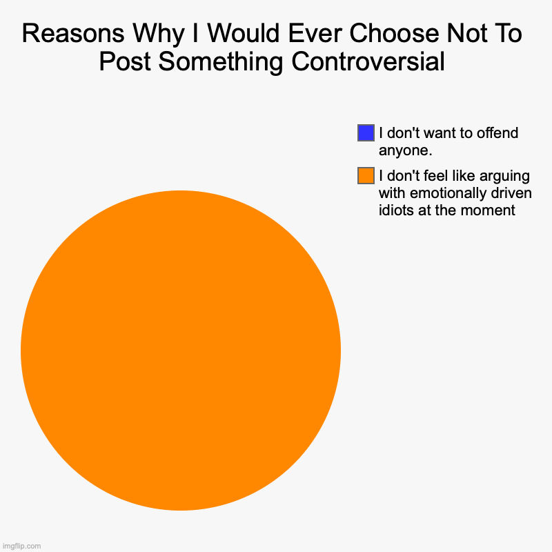 Reasons Why I Would Ever Choose Not To Post Something Controversial | I don't feel like arguing with emotionally driven idiots at the moment | image tagged in charts,pie charts | made w/ Imgflip chart maker