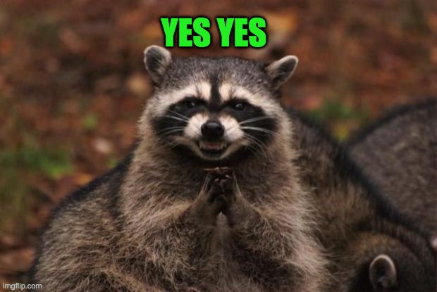 evil genius racoon | YES YES | image tagged in evil genius racoon | made w/ Imgflip meme maker