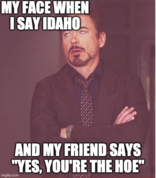 JUST STOP | MY FACE WHEN I SAY IDAHO; AND MY FRIEND SAYS "YES, YOU'RE THE HOE" | image tagged in memes,face you make robert downey jr,stop | made w/ Imgflip meme maker