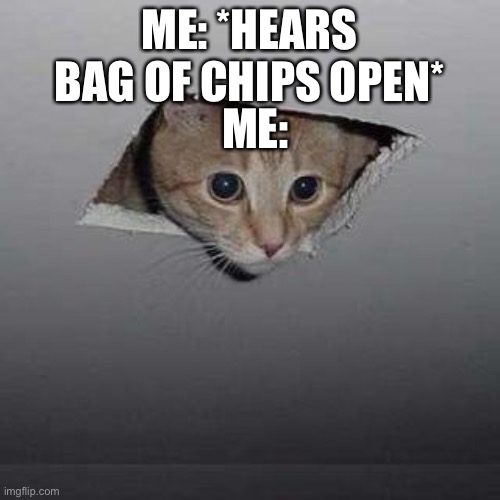 Ceiling Cat | ME: *HEARS BAG OF CHIPS OPEN*; ME: | image tagged in memes,ceiling cat | made w/ Imgflip meme maker
