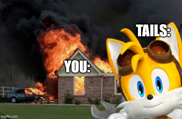 YOU: TAILS: | made w/ Imgflip meme maker
