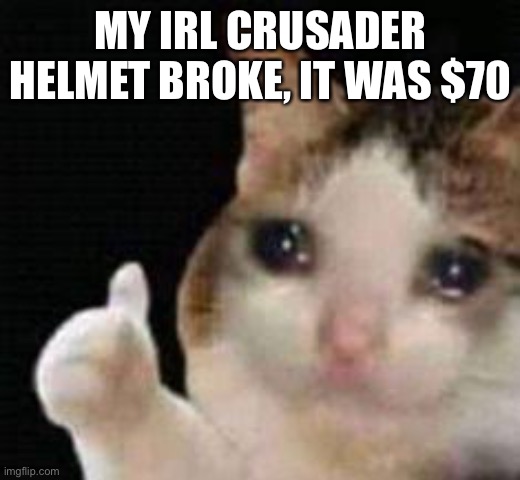 well, gotta order a new one | MY IRL CRUSADER HELMET BROKE, IT WAS $70 | image tagged in approved crying cat | made w/ Imgflip meme maker