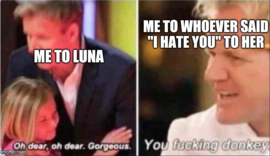 Oh Dear Oh Dear Gorgeous | ME TO LUNA ME TO WHOEVER SAID "I HATE YOU" TO HER | image tagged in oh dear oh dear gorgeous | made w/ Imgflip meme maker