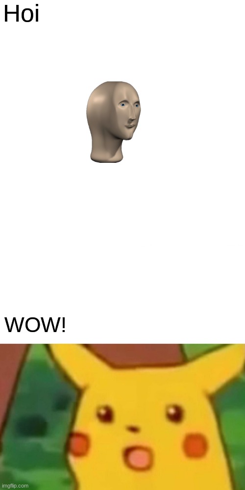 Hoi guys! | Hoi; WOW! | image tagged in memes,surprised pikachu | made w/ Imgflip meme maker