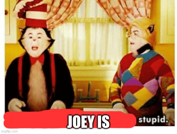You're not just wrong your stupid | JOEY IS | image tagged in you're not just wrong your stupid | made w/ Imgflip meme maker