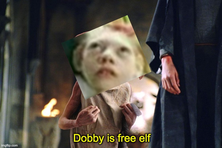 Dobby is free | Dobby is free elf | image tagged in dobby is free | made w/ Imgflip meme maker
