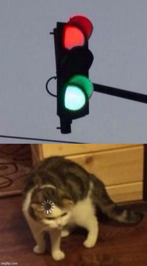 What a minute... | image tagged in mixed signals,loading cat | made w/ Imgflip meme maker
