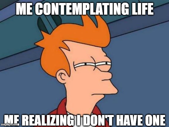 Futurama Fry Meme | ME CONTEMPLATING LIFE; ME REALIZING I DON'T HAVE ONE | image tagged in memes,futurama fry | made w/ Imgflip meme maker