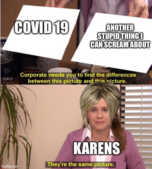 Why are they like this |  ANOTHER STUPID THING I CAN SCREAM ABOUT; COVID 19; KARENS | image tagged in there the same image | made w/ Imgflip meme maker