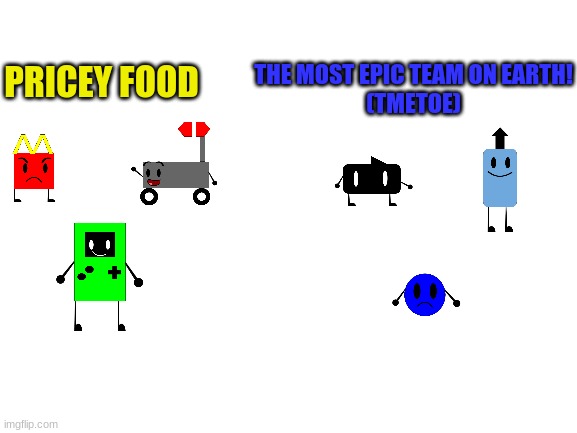 i made the teams for that show i made | THE MOST EPIC TEAM ON EARTH!
(TMETOE); PRICEY FOOD | image tagged in blank white template | made w/ Imgflip meme maker