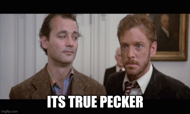 Ghostbusters it's true | ITS TRUE PECKER | image tagged in ghostbusters it's true | made w/ Imgflip meme maker