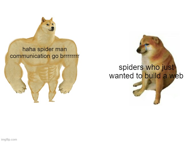 Buff Doge vs. Cheems Meme | haha spider man communication go brrrrrrrr; spiders who just wanted to build a web | image tagged in memes,buff doge vs cheems | made w/ Imgflip meme maker