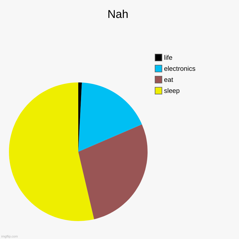 Nah | sleep, eat, electronics, life | image tagged in charts,pie charts | made w/ Imgflip chart maker